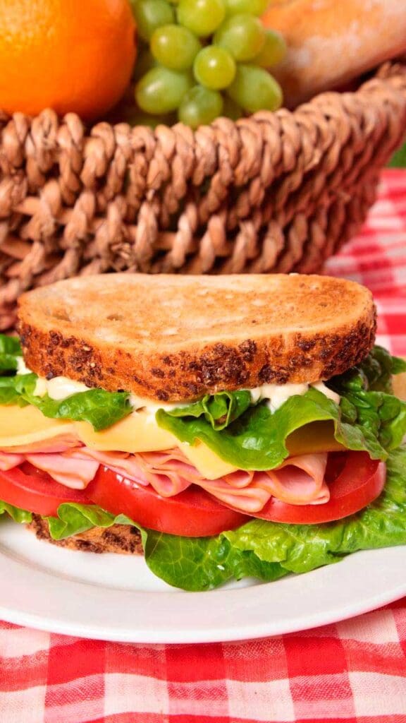 comida para picnic