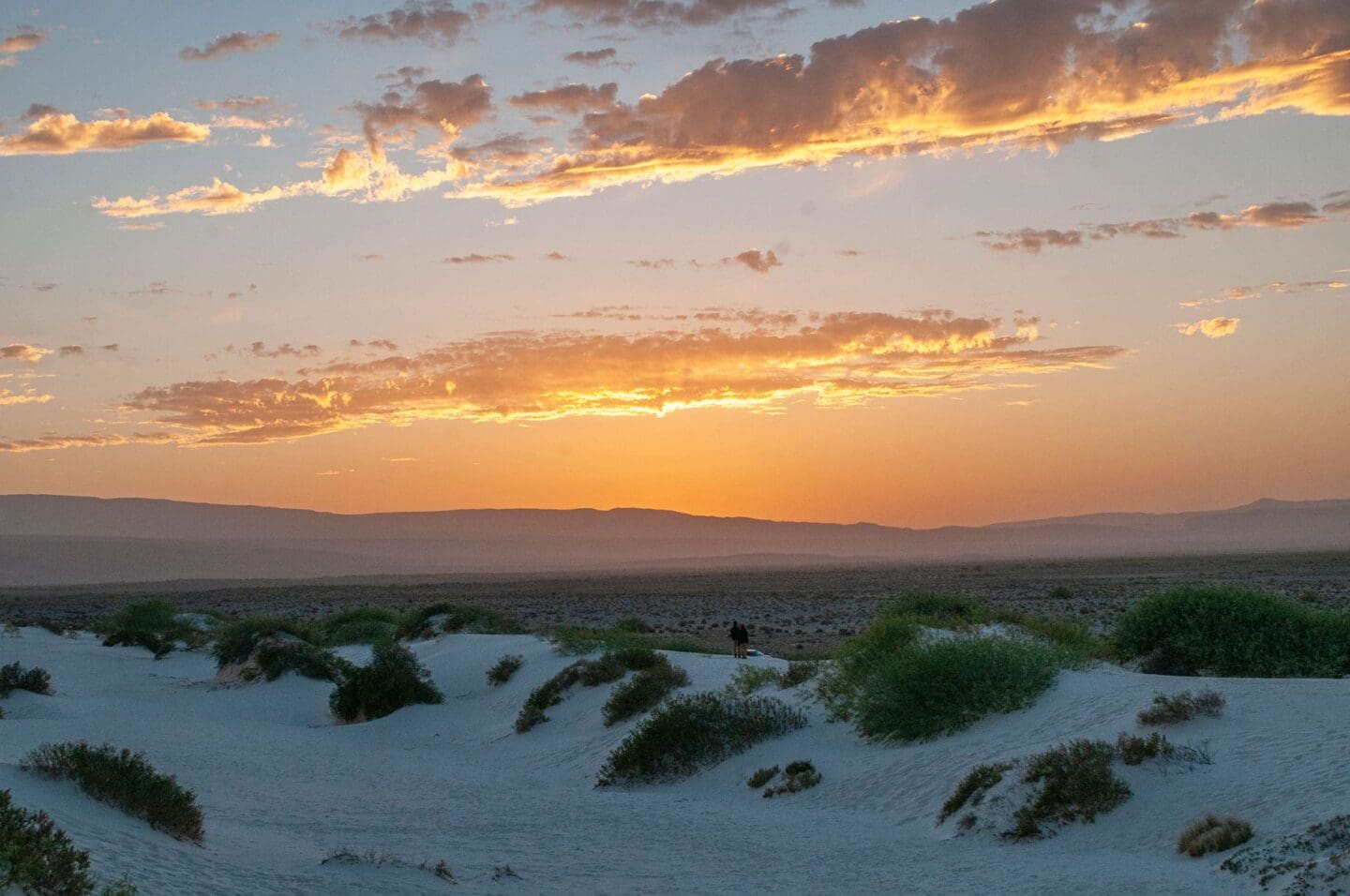 Cuatrociénegas Coahuila