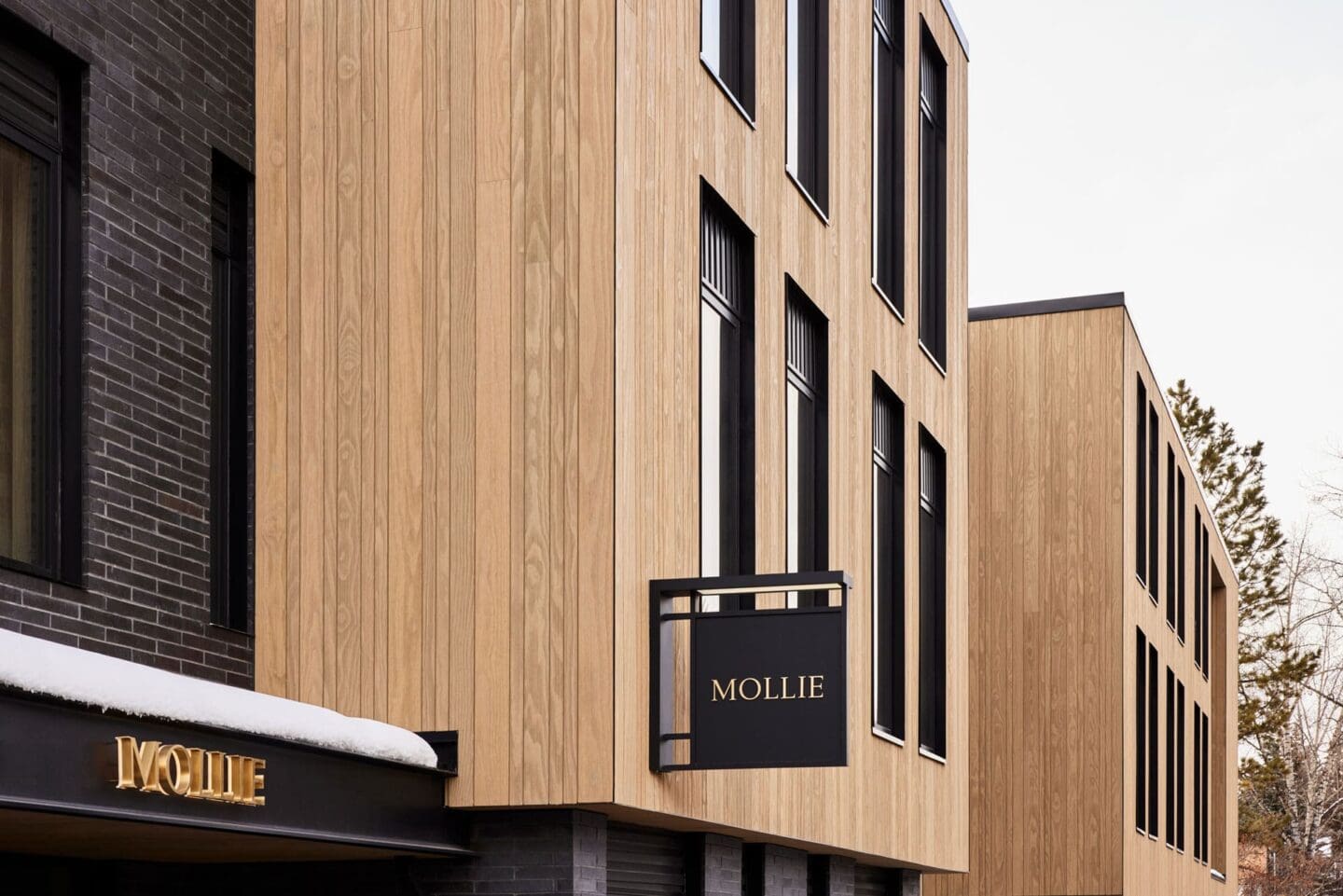 Hotel Mollie Aspen