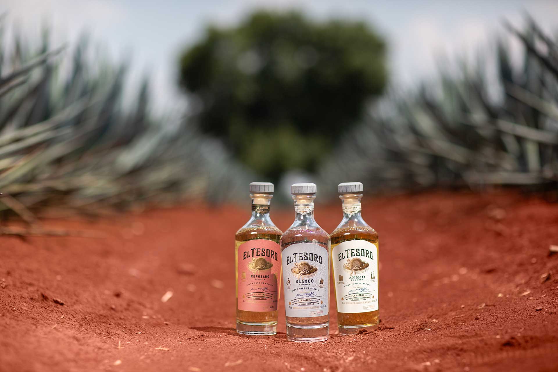 Tequila El Tesoro