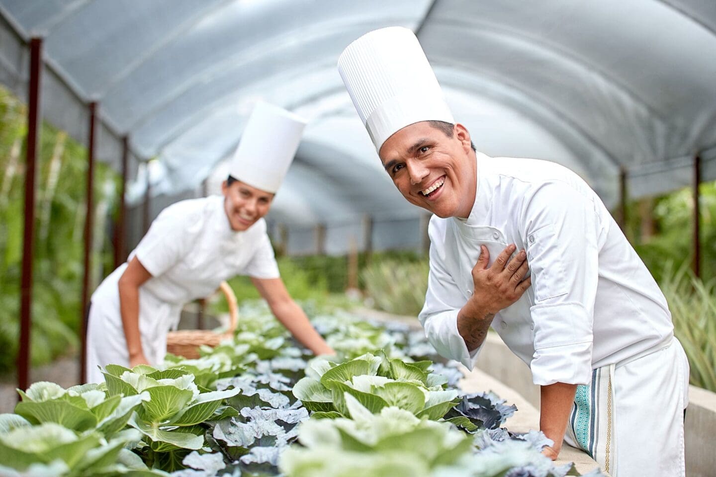 Gastronomía sustentable