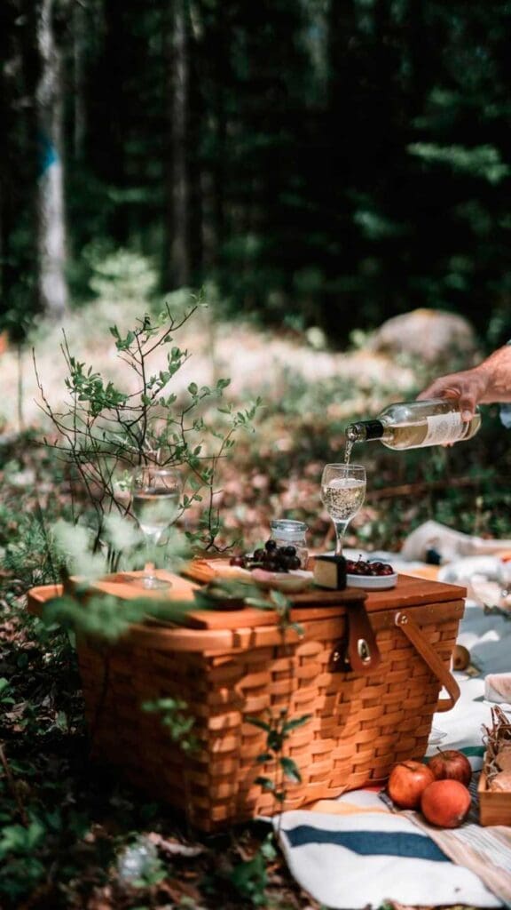 Picnic en bosque