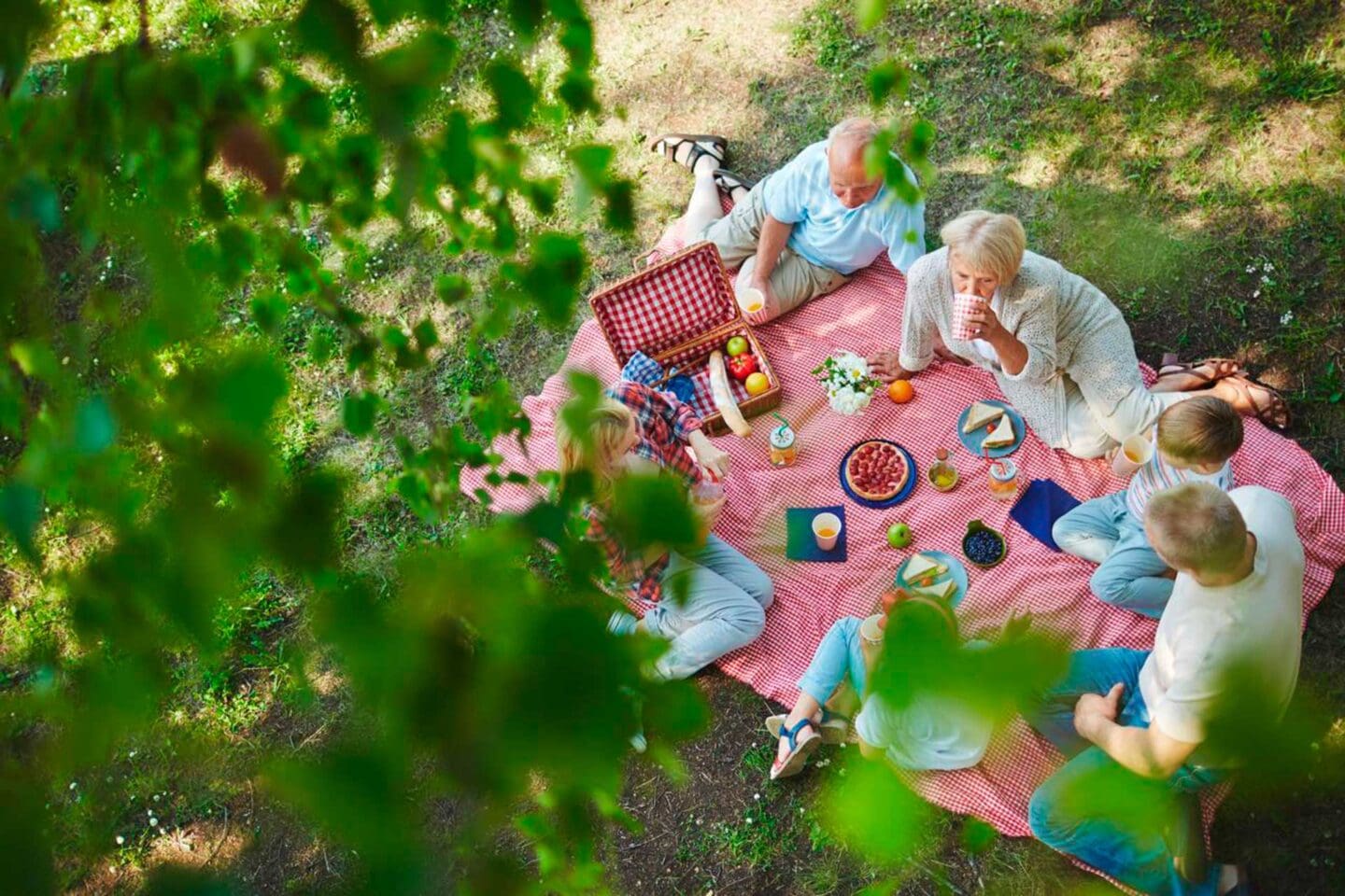 comida para picnic en familia