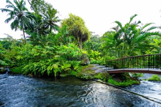 Guía completa para tu viaje a La Fortuna, Costa Rica