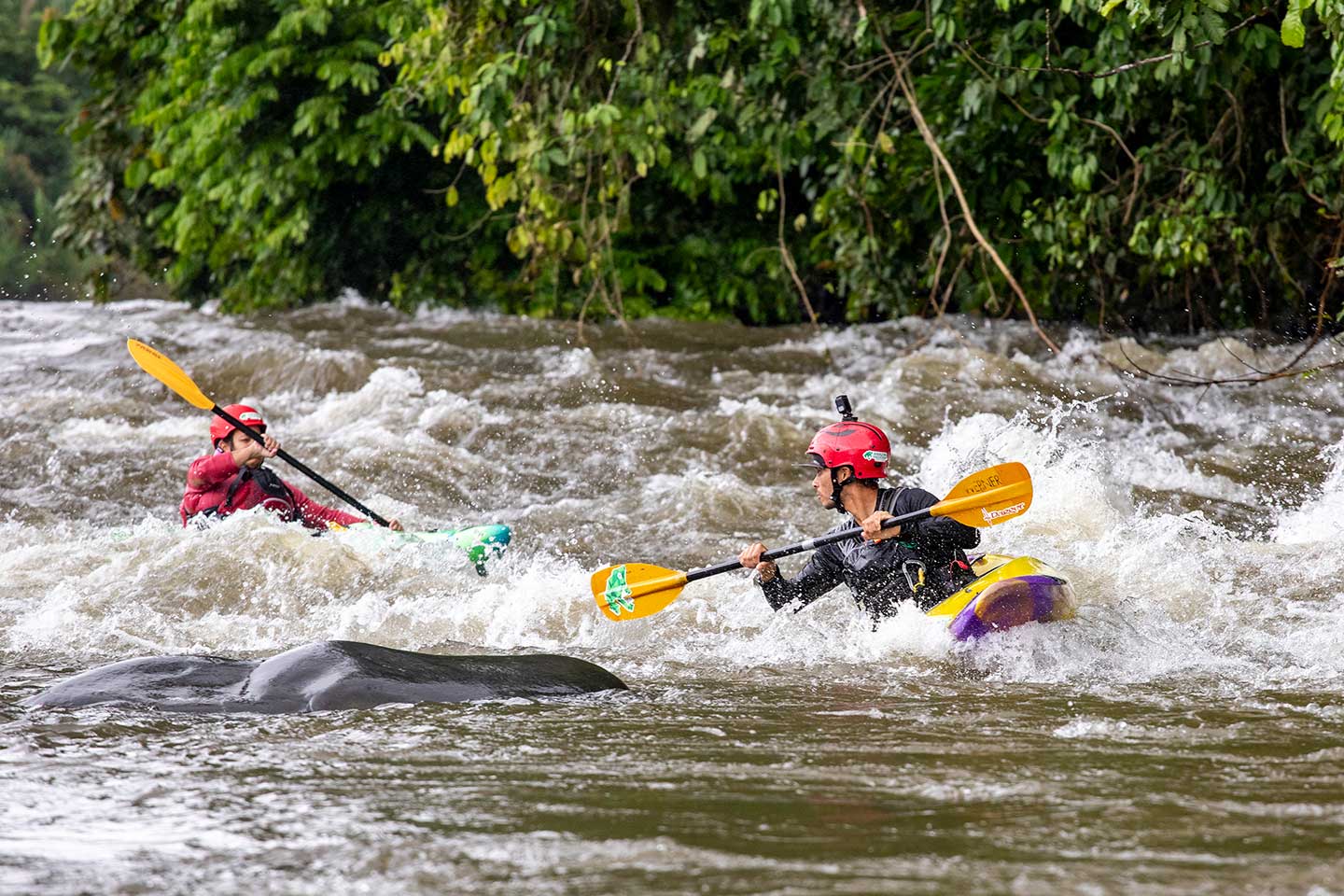 Rápidos en Costa Rica