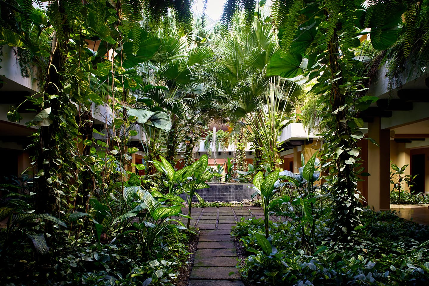 mejor época para viajar a costa rica verde
