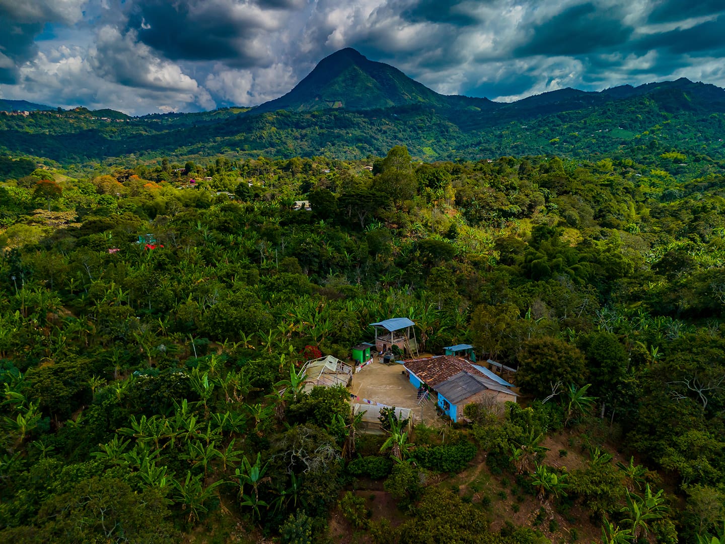 eje cafetalero Colombia viaje a colombia