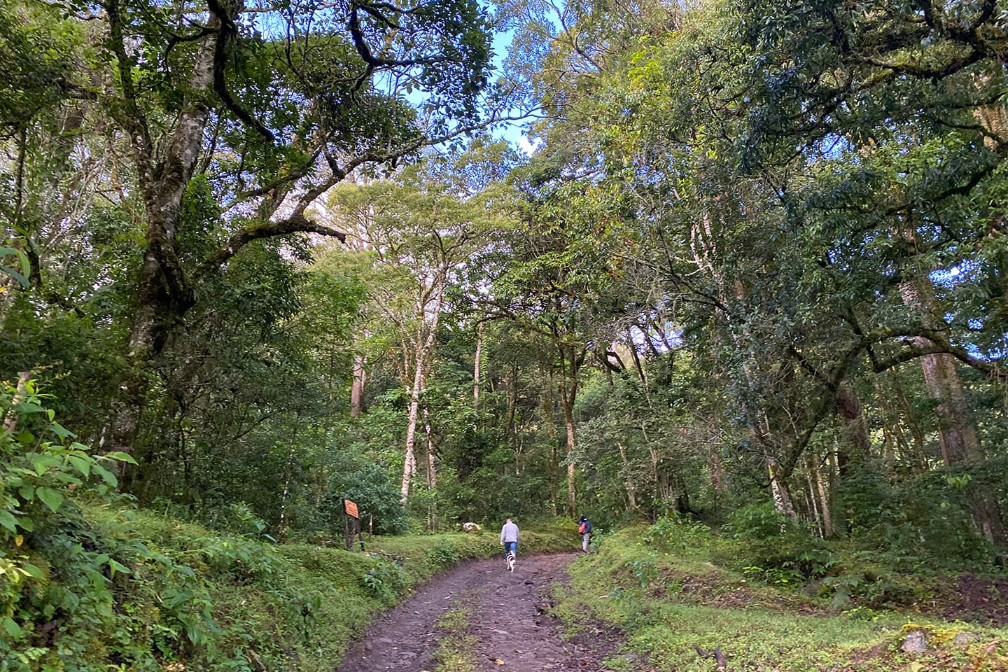 Senderismo en Dota, Costa Rica