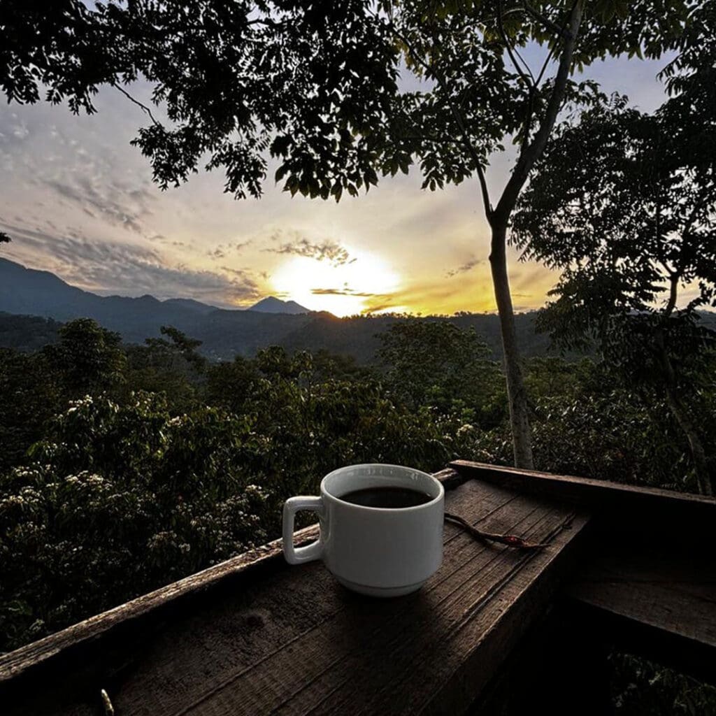 Agroturismo-café_1 Agroturismo en México: Finca Argovia