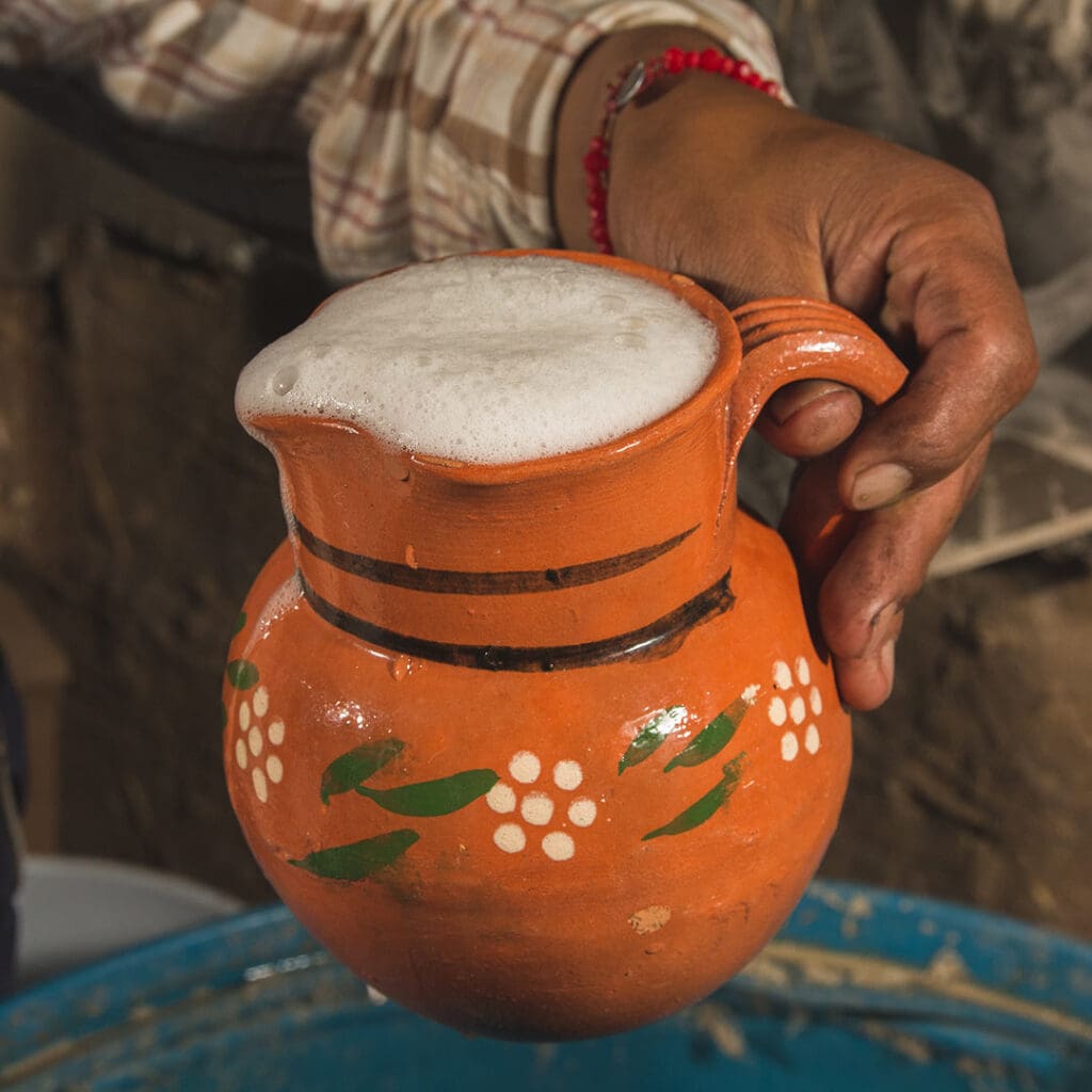 Agroturismo_pulque_2 Agroturismo en México: elaboración de pulque en Tlaxcala