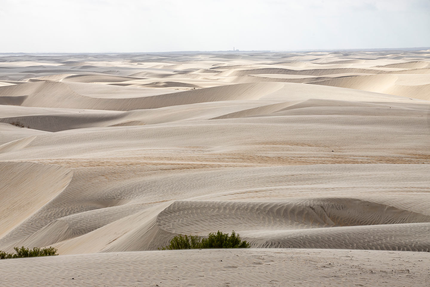 Guerrero_Negro_dunas_Soledad_1 Dunas de la Soledad, en Guerrero Negro