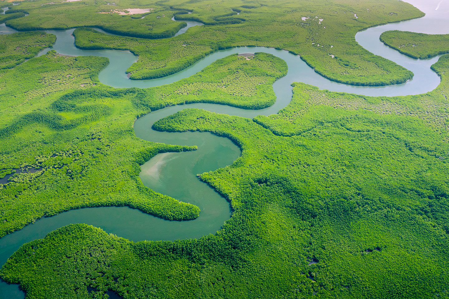 Países_megadiversos_Brasil_Amazonas_1 Selva amazónica
