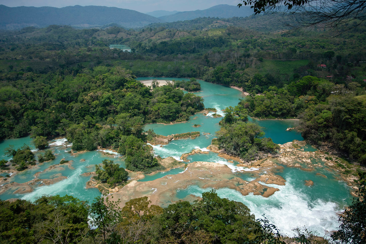 Países_megadiversos_México_Selva_Lacandona México es uno de los países megadiversos