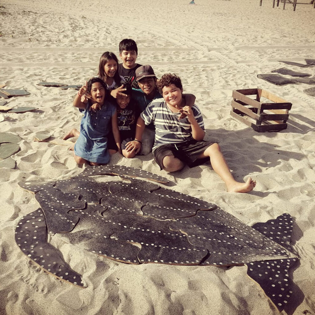 Playas_anidación_tortuga_Bahía_Chacahua_1 playas de anidación de tortugas en México
