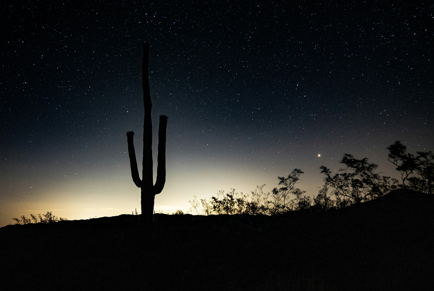 Que-hacer-en-Arizona-ver-estrellas Cielos oscuros en Phoenix, Arizona
