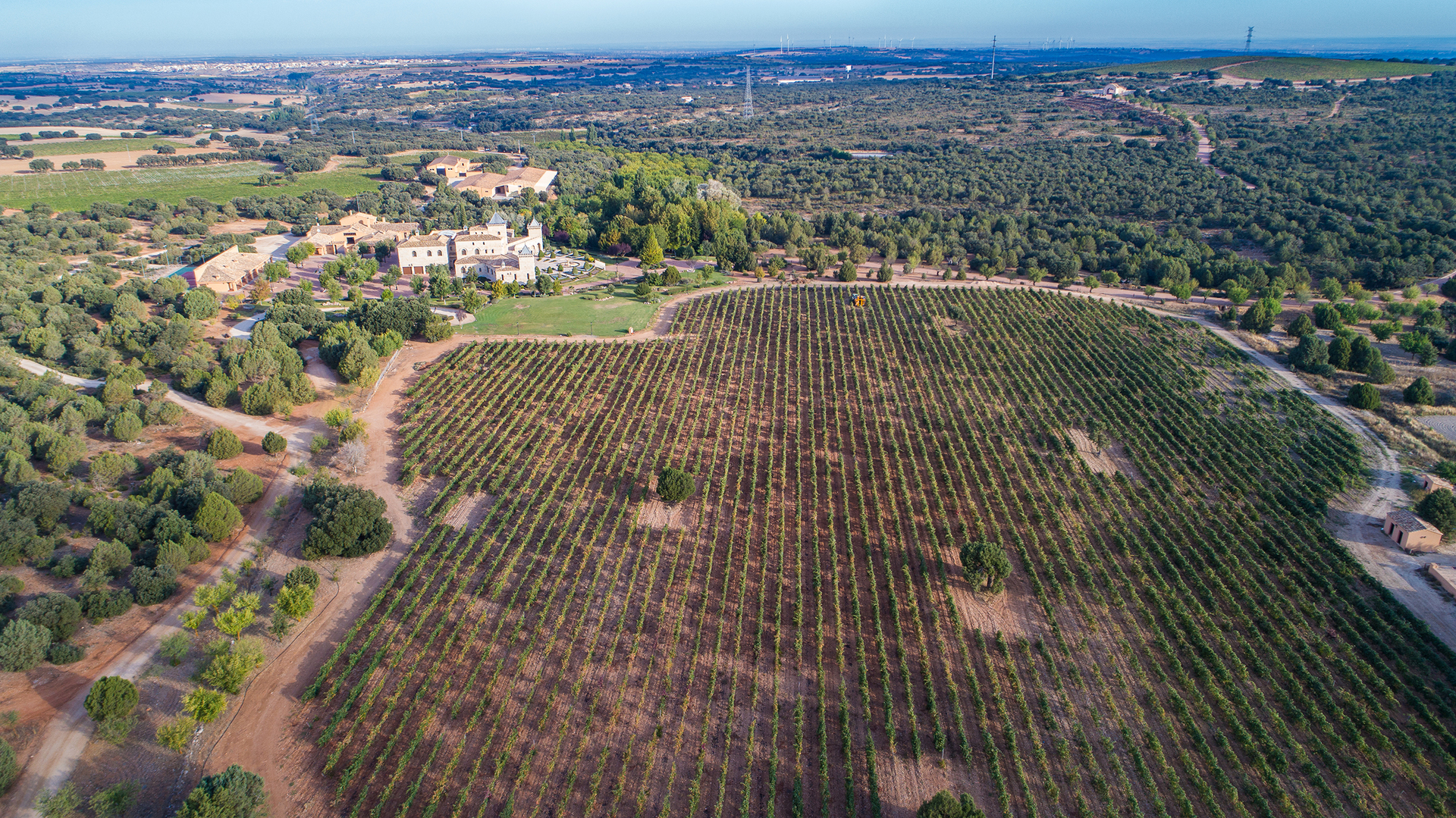 Aldonza-viñedos-finca-02 Finca Dehesa de Navamarín de Aldonza Gourmet