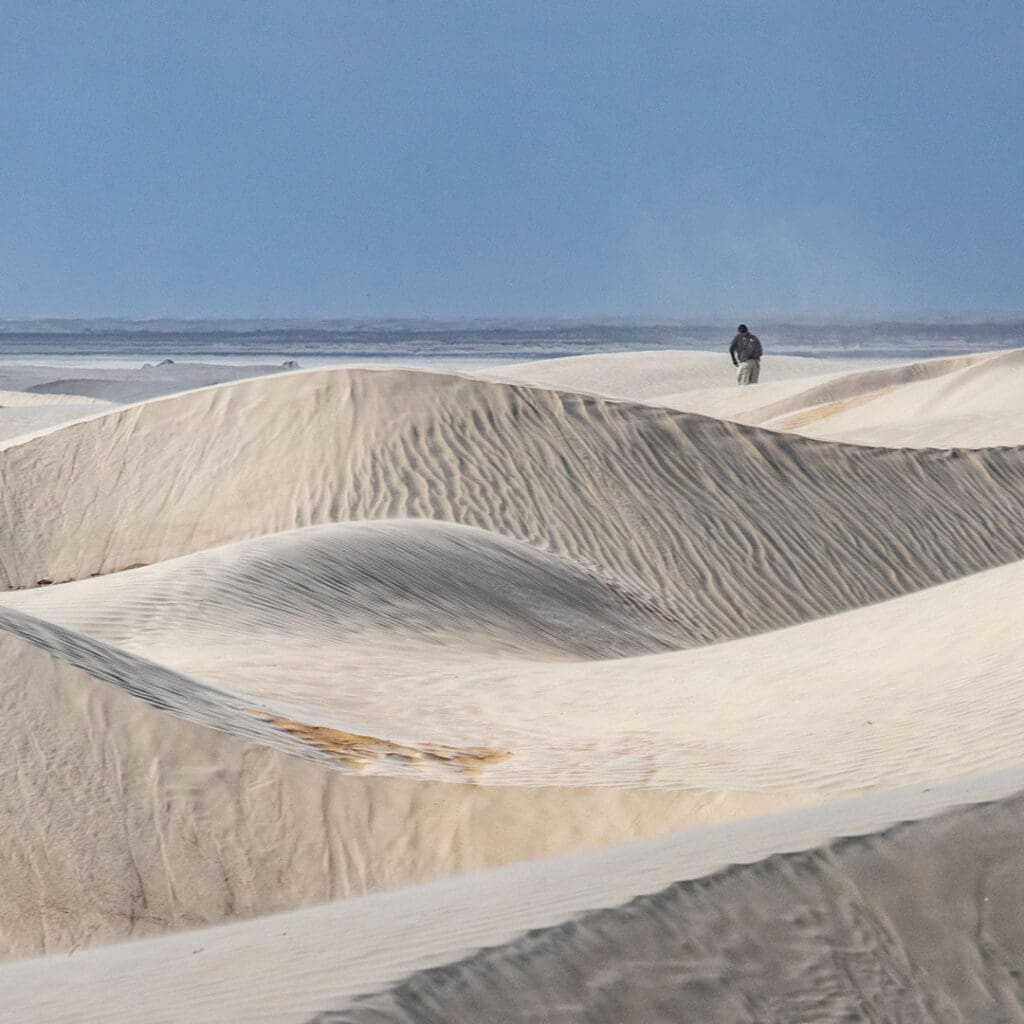 Guerrero_Negro_Dunas_de_la_Soledad