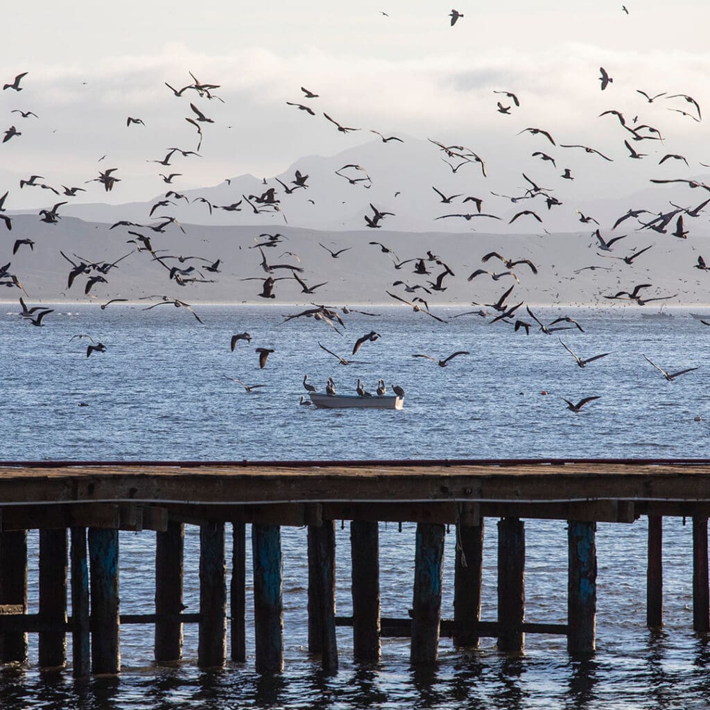 San_Ignacio_Bahía_Tortugas