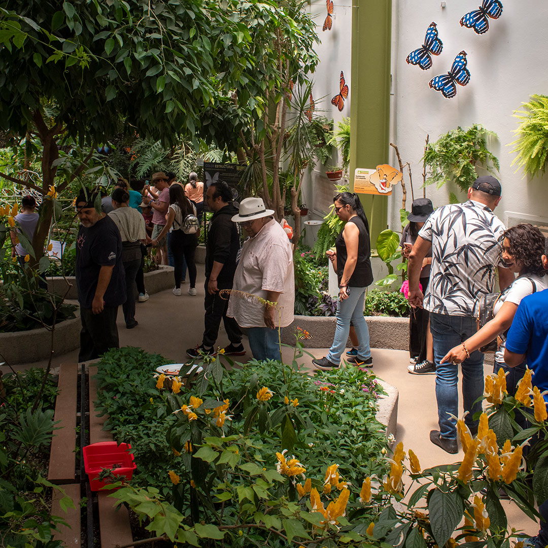 agenda_23_30_junio_mariposario actividades en junio