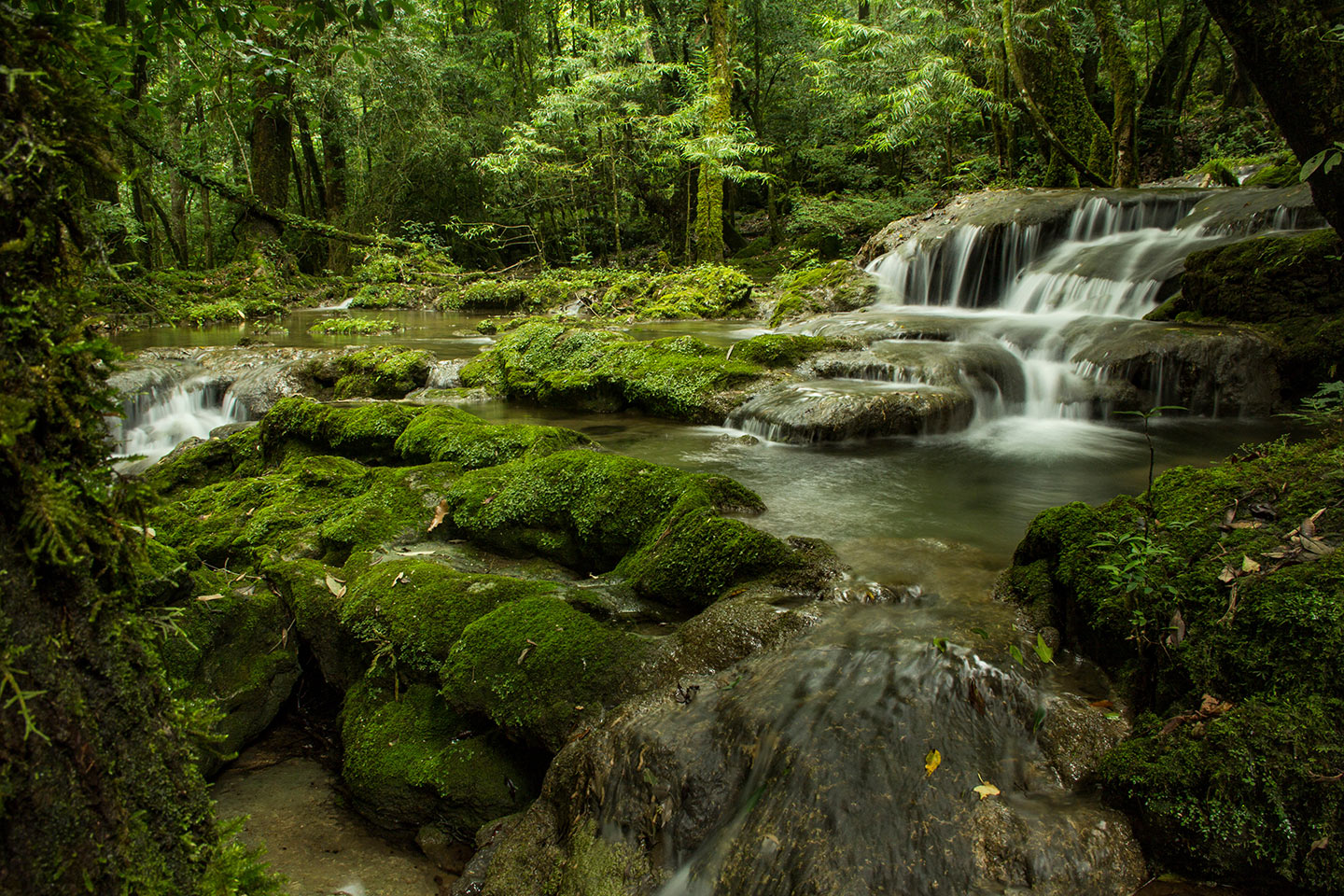 cascadas_México_Biosfera_El_Cielo cascadas bonitas de México