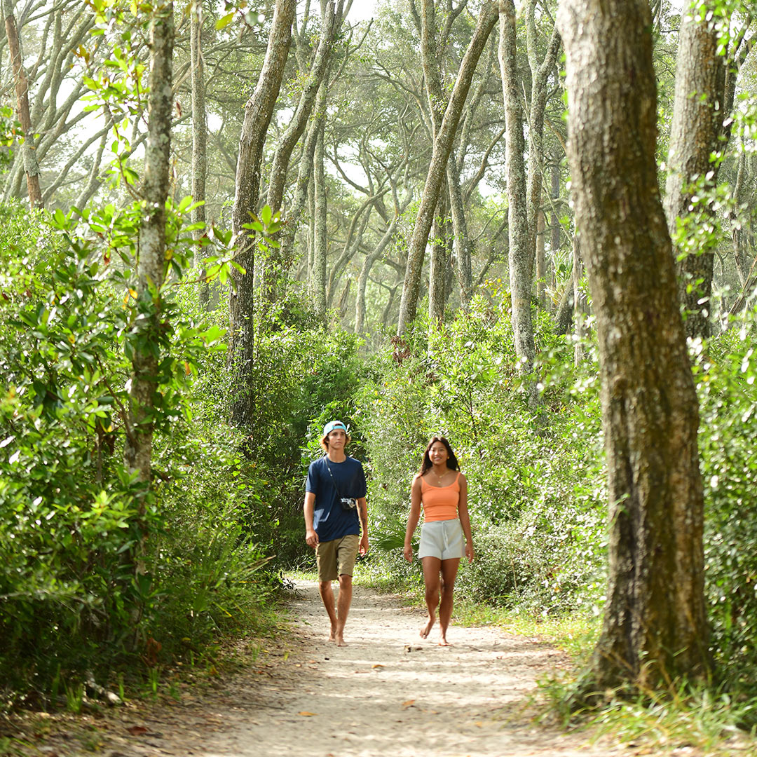 ciudades_imperdibles_Florida_Jacksonville_Big_Talbot_Island ciudades florida