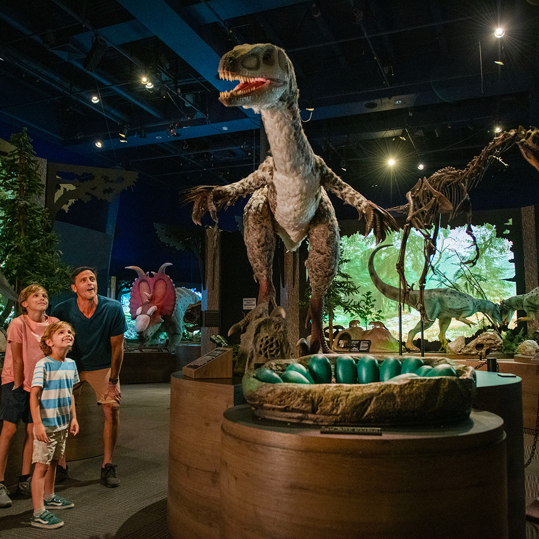 ciudades_imperdibles_Florida_Jacksonville_Museum_of_Science ciudades florida