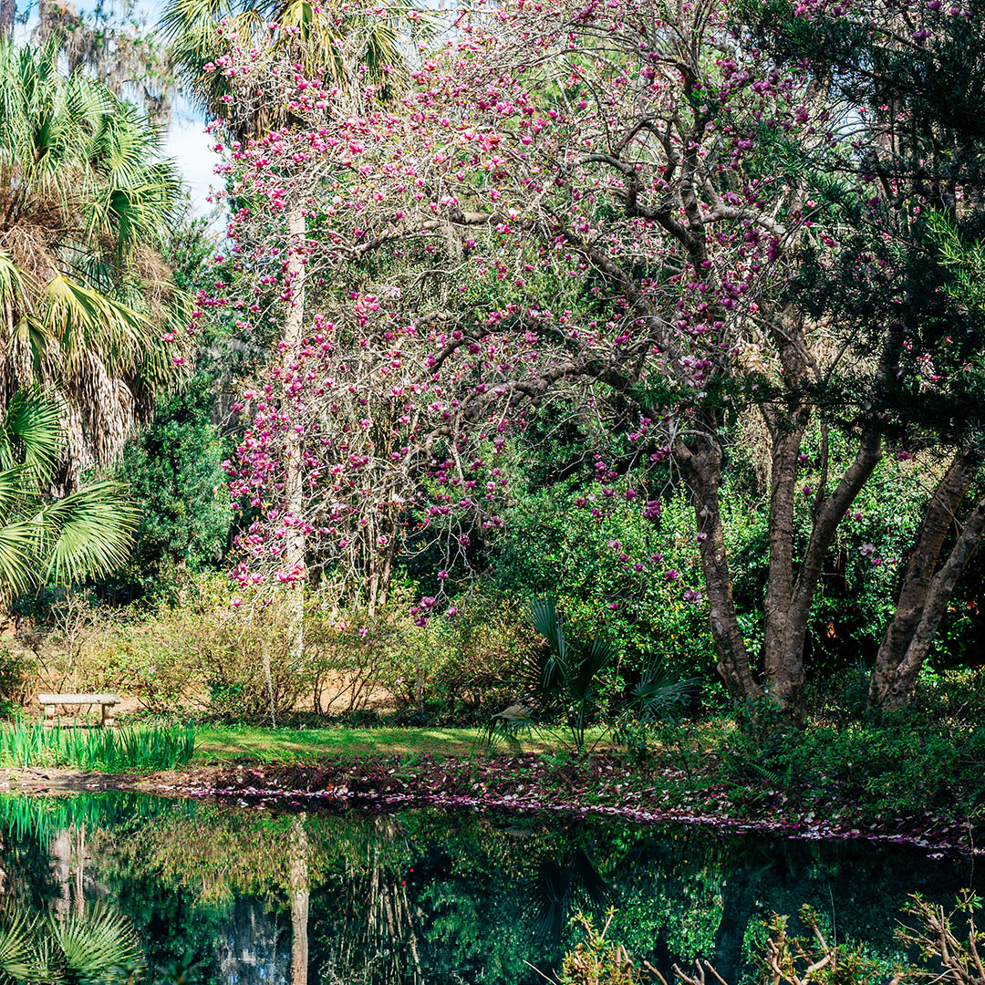 ciudades_imperdibles_Florida_Tallahassee ciudades florida