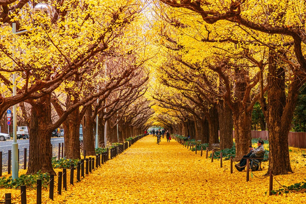 lugares_amarillos_Tokio_otoño Yellow Day 2025: Tokio en otoño