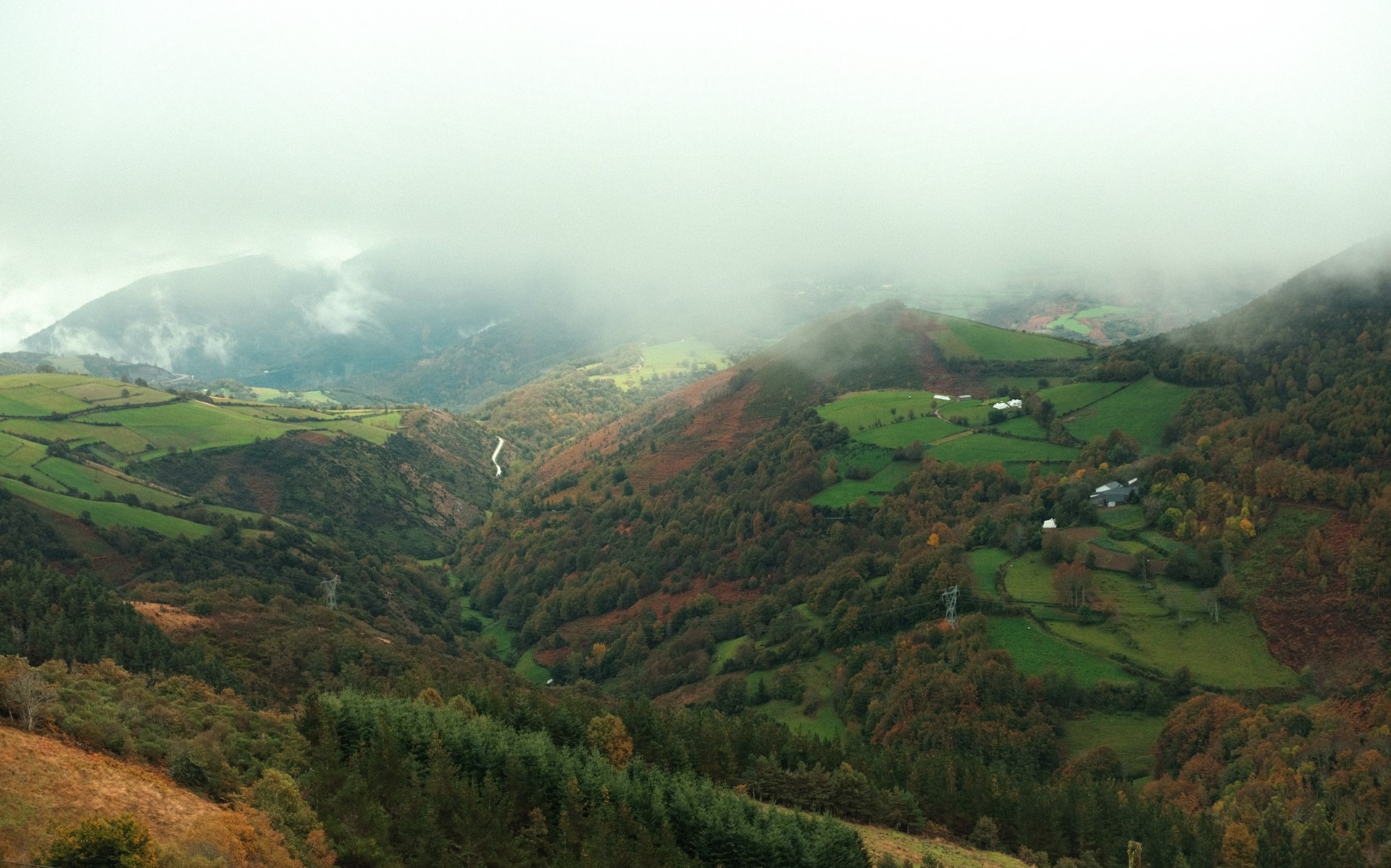 Galicia-Cebreiro-6