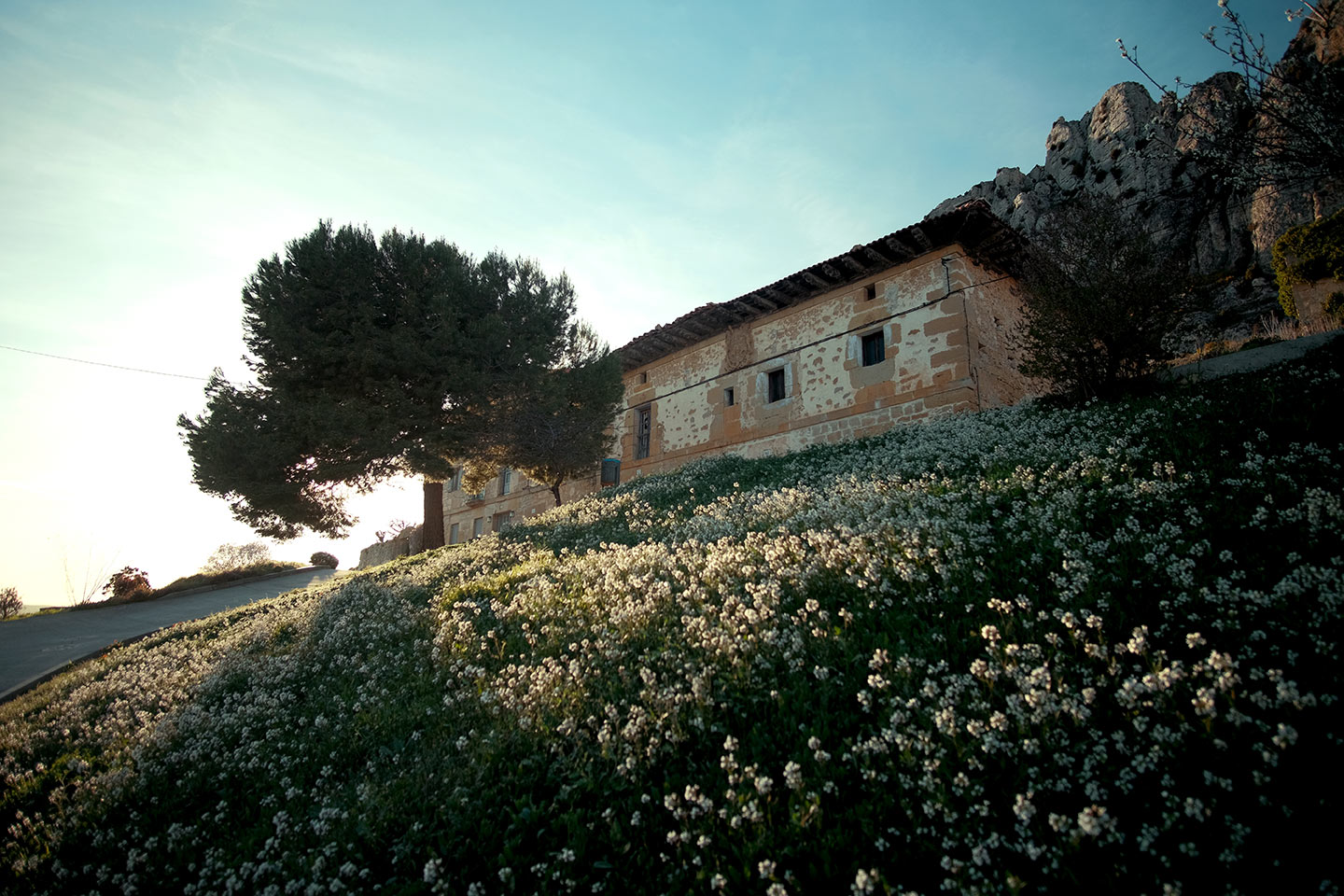 La_Rioja_Cellorigo1 Cellorigo, en La Rioja