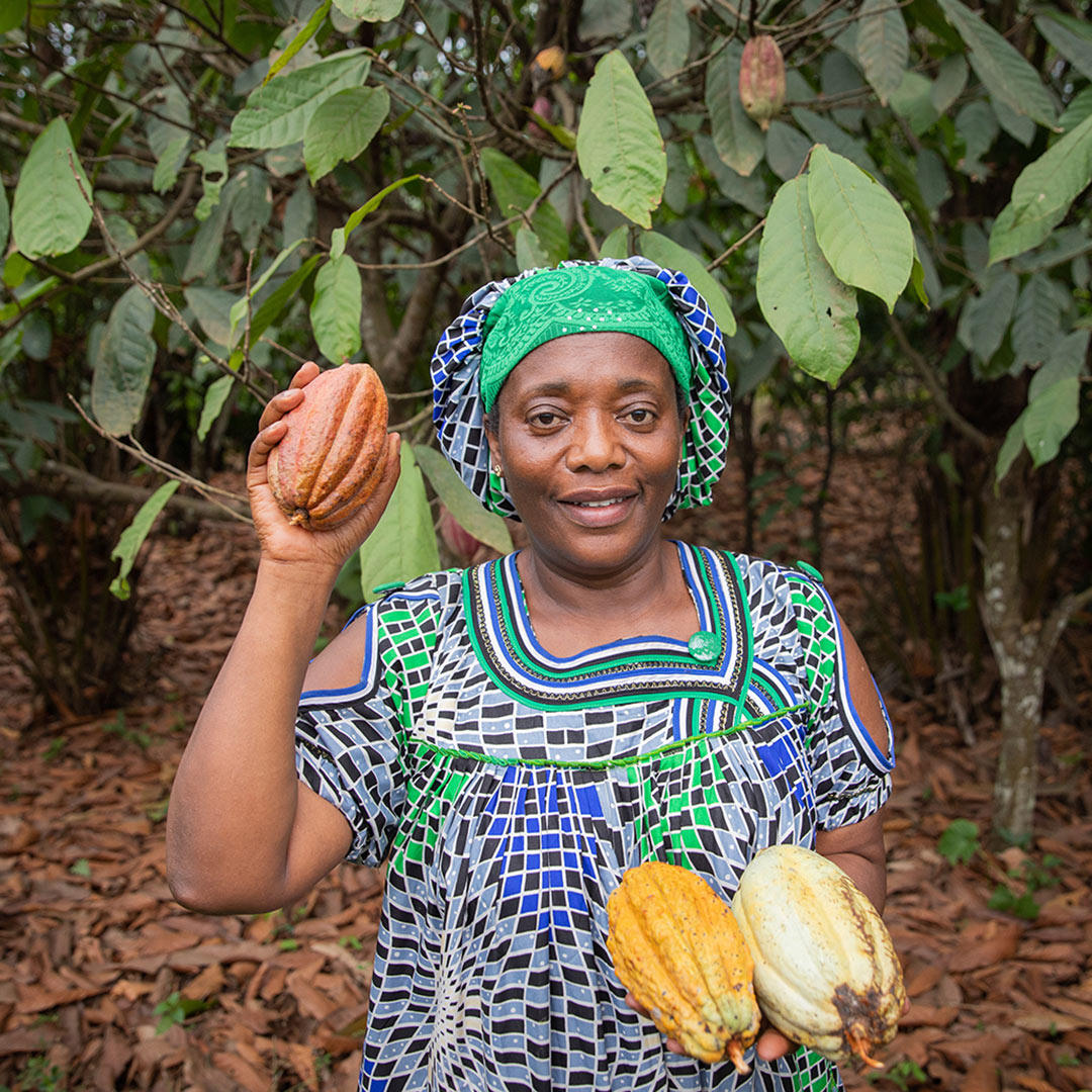 curiosidades_cacao_Africa curiosidades del cacao
