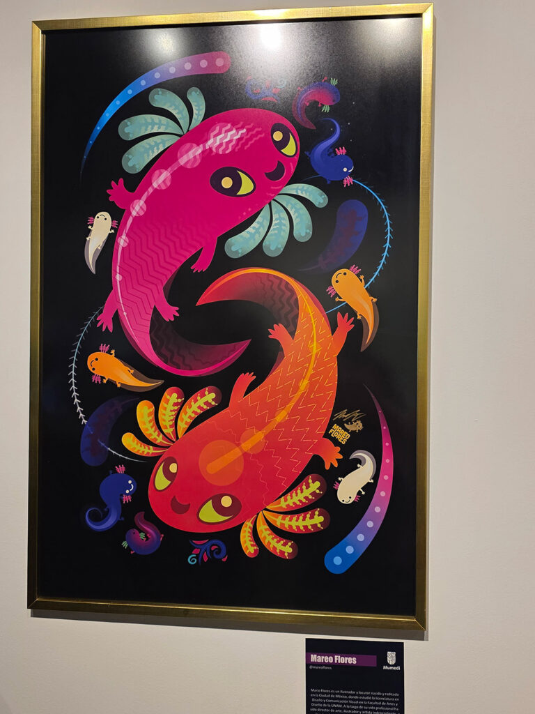 Mareo Flores con Ajolotes de Color Infinito.