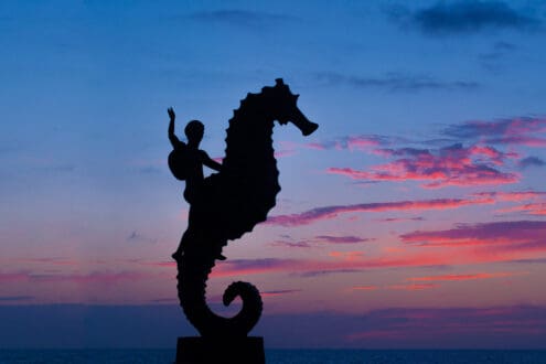 4 experiencias para conectar con la naturaleza en Puerto Vallarta