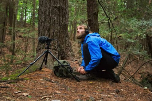 Quiet Parks: la tendencia que busca el silencio absoluto