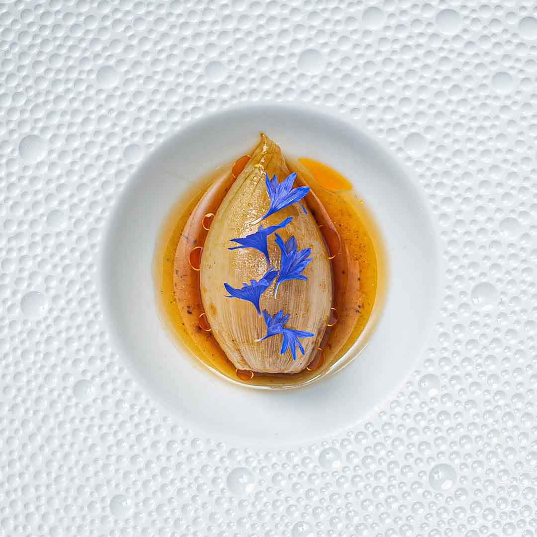 Chef Rodrigo Rivera Río platillos