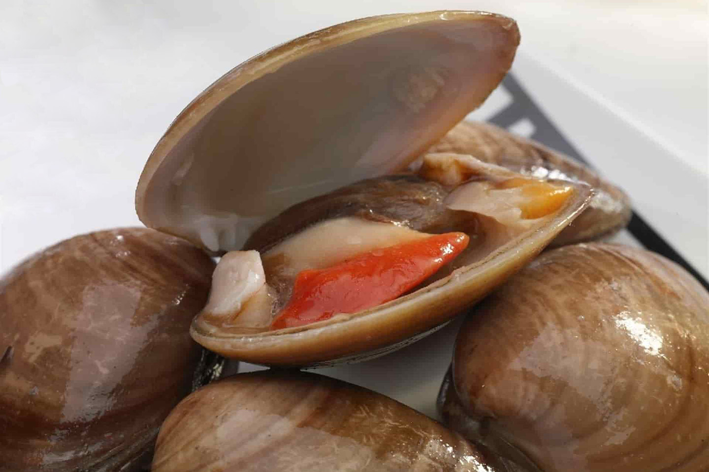 veda de la almeja chocolata