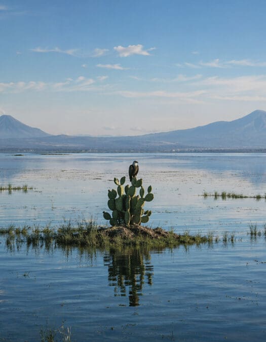 El fascinante significado de México: una palabra que encierra historia, mito y esencia