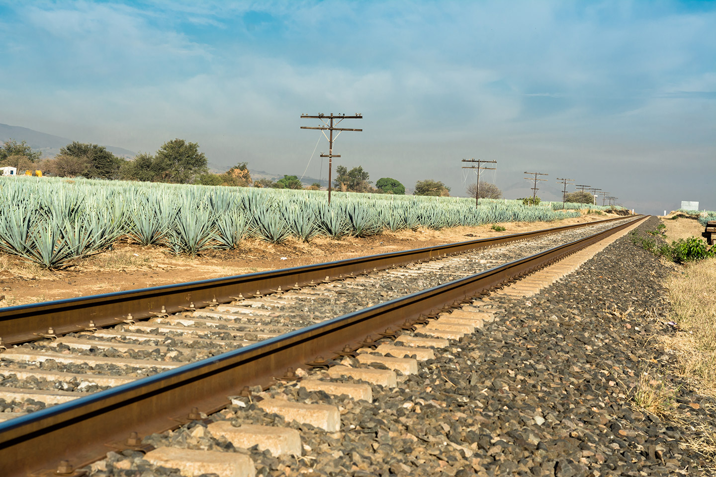 tours_Guadalajara_Tequila Excursión a Tequila en el tren Tequila Express.