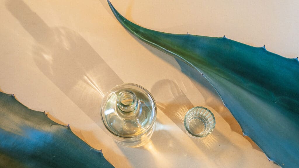 ¿Cuál es el origen del mezcal? Conoce su historia, importancia cultural y situación actual de sus productores