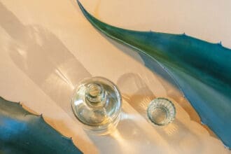 ¿Cuál es el origen del mezcal? Conoce su historia, importancia cultural y situación actual de sus productores