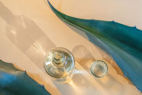 ¿Cuál es el origen del mezcal? Conoce su historia, importancia cultural y situación actual de sus productores