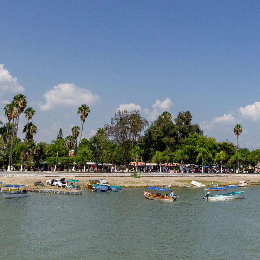Recorrer parte del lago en lancha.